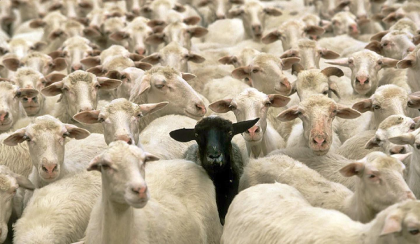 Anomaly detection